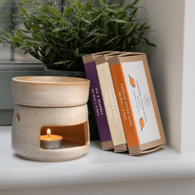 A Wax Warmer and 3x Wax Melts
